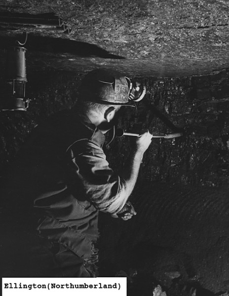 Image submitted by Buddle-Bot on 03-10-2024.
courtesy of http://www.theforgottenconscript.co.uk/