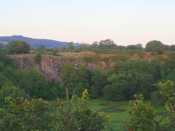 Disused quarry. The face of a disused limestone quarry on Windsor hill to the north of Shepton Mallet.