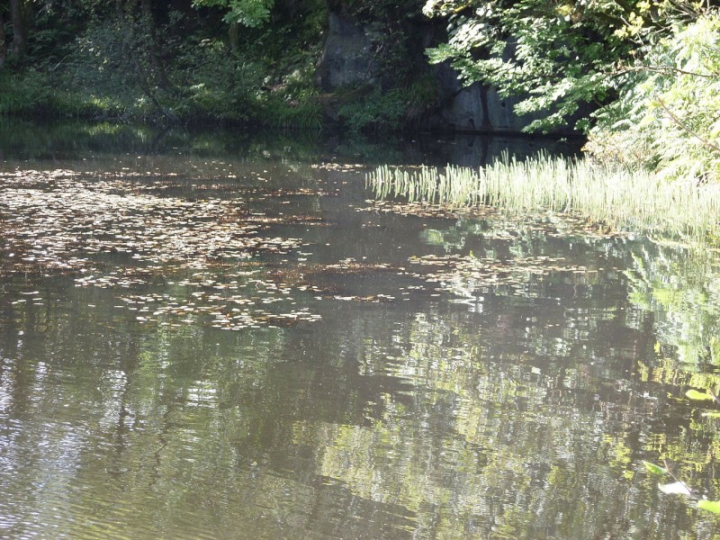 Image submitted by Buddle-Bot on 25-09-2024.
Rosser1954 https://creativecommons.org/licenses/by-sa/4.0