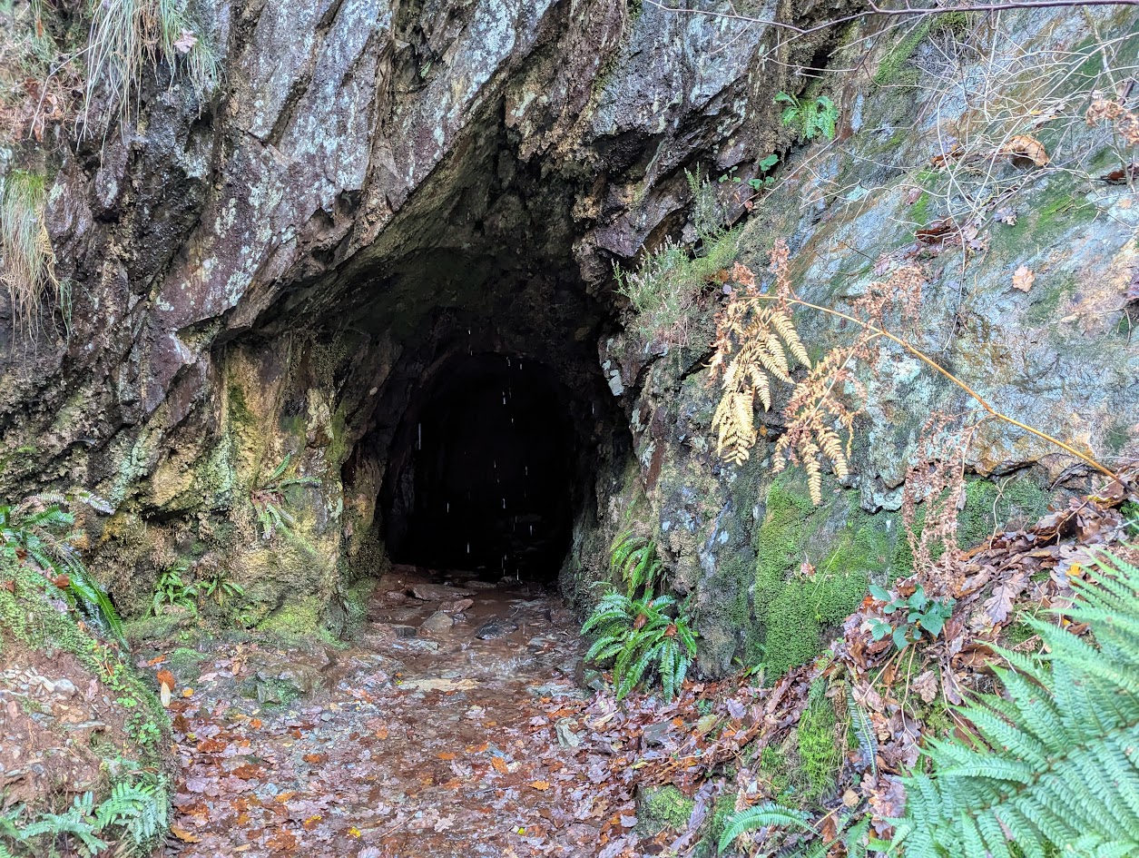 Adit, submitted by BertyBasset on 16-11-2025.
© Robin Griffiths Adit