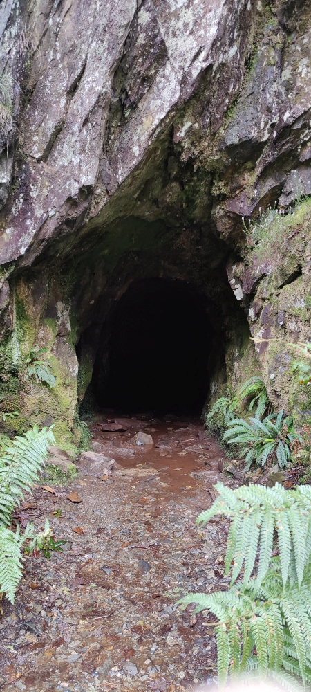 Adit entrance, submitted by ilt on 08-12-2025.
© Iain Taylor Adit entrance