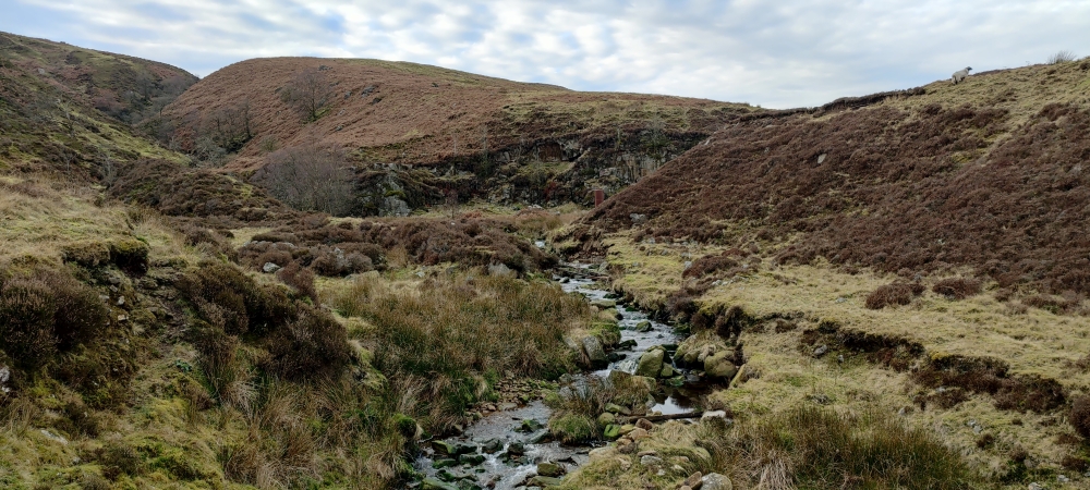 Entering the quarry, submitted by ilt on 11-01-2025.
© Iain Taylor Entering the quarry