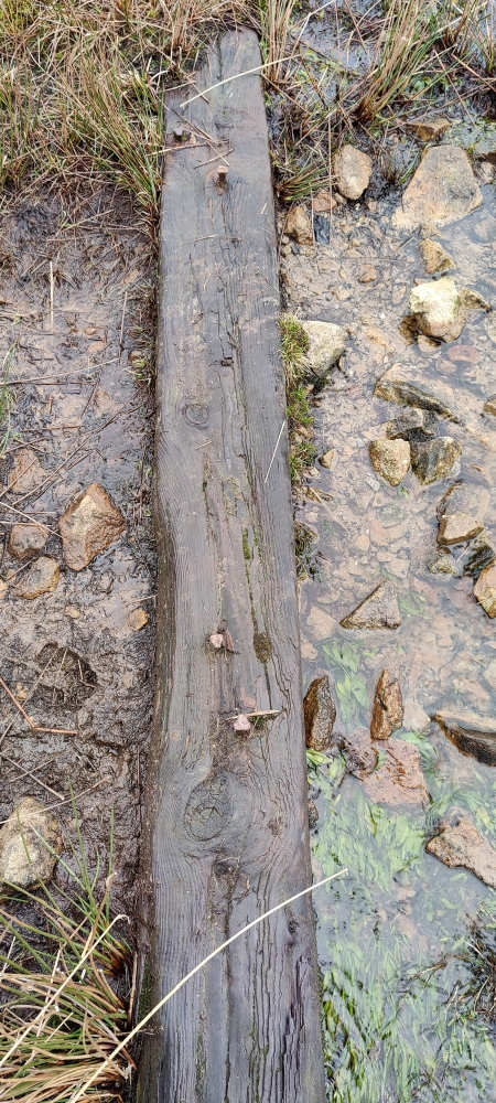 Wooden sleeper on the tramway, submitted by ilt on 11-01-2025.
© Iain Taylor Wooden sleeper on the tramway