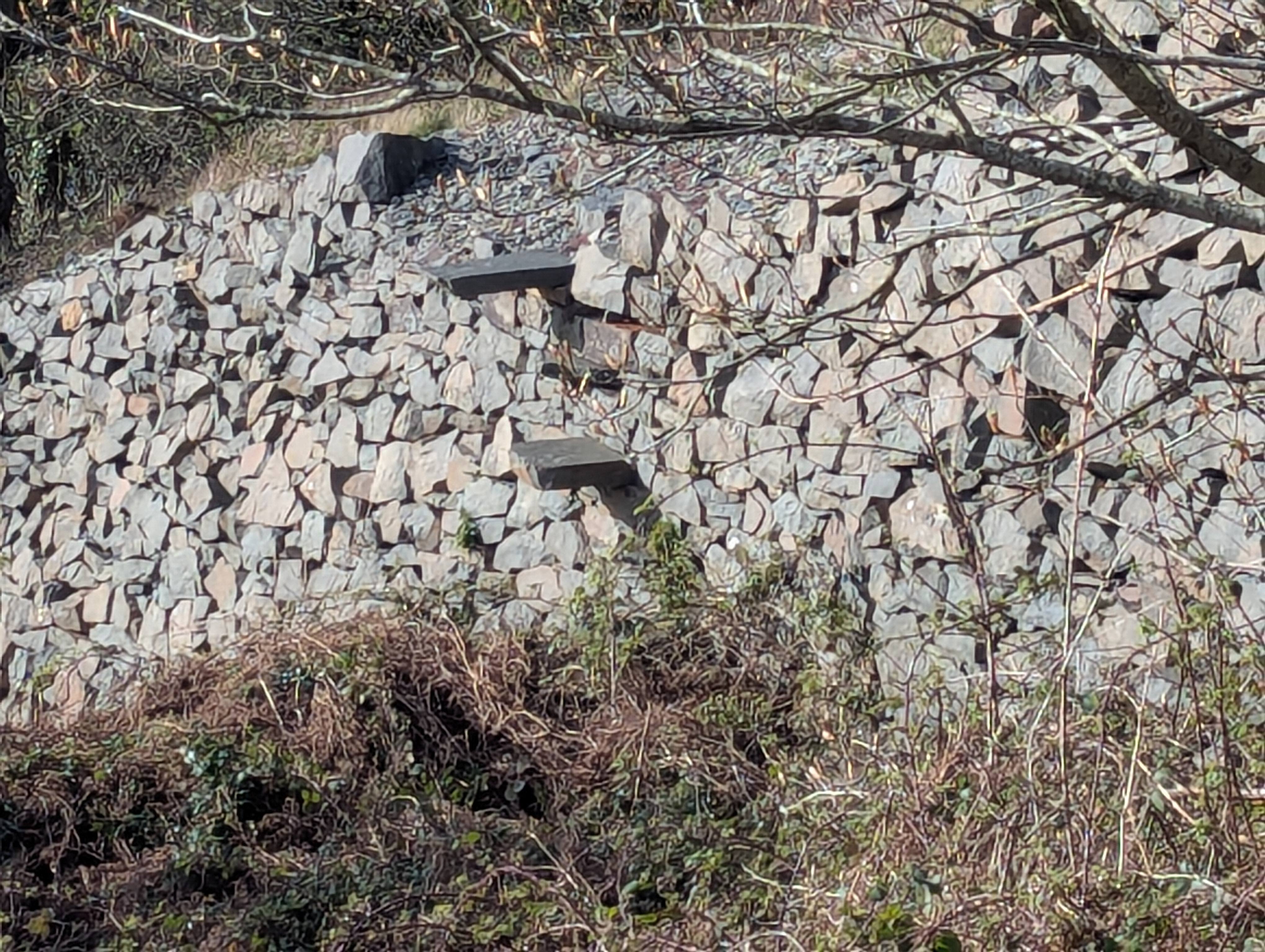 Catilivered step in Gwylwyr incline