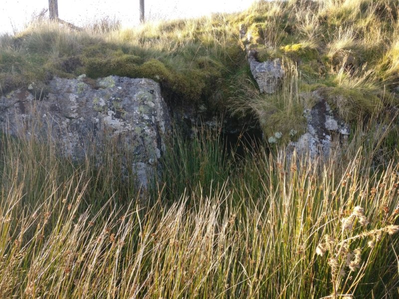 Trial, submitted by ilt on 07-03-2026.
© Iain Taylor Trial