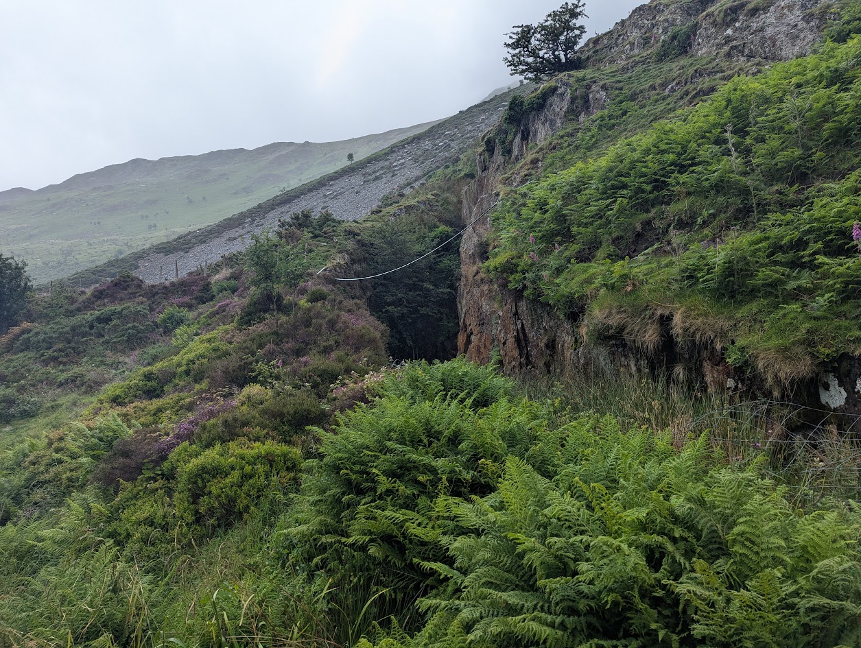 Cutting next to A5, submitted by BertyBasset on 16-11-2025.
© Robin Griffiths Cutting next to A5