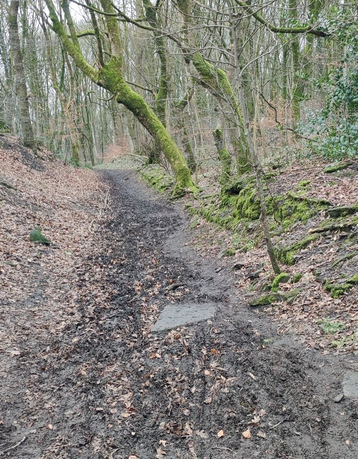 Bobby's Lane, submitted by ilt on 05-02-2026.
© Iain Taylor Bobby's Lane