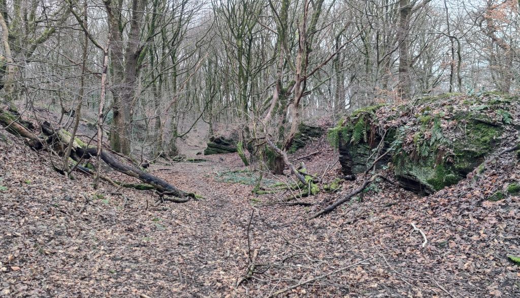 Northern area looking north