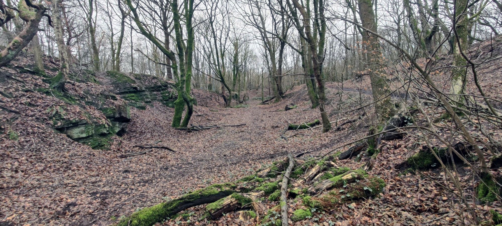 Northern area looking south