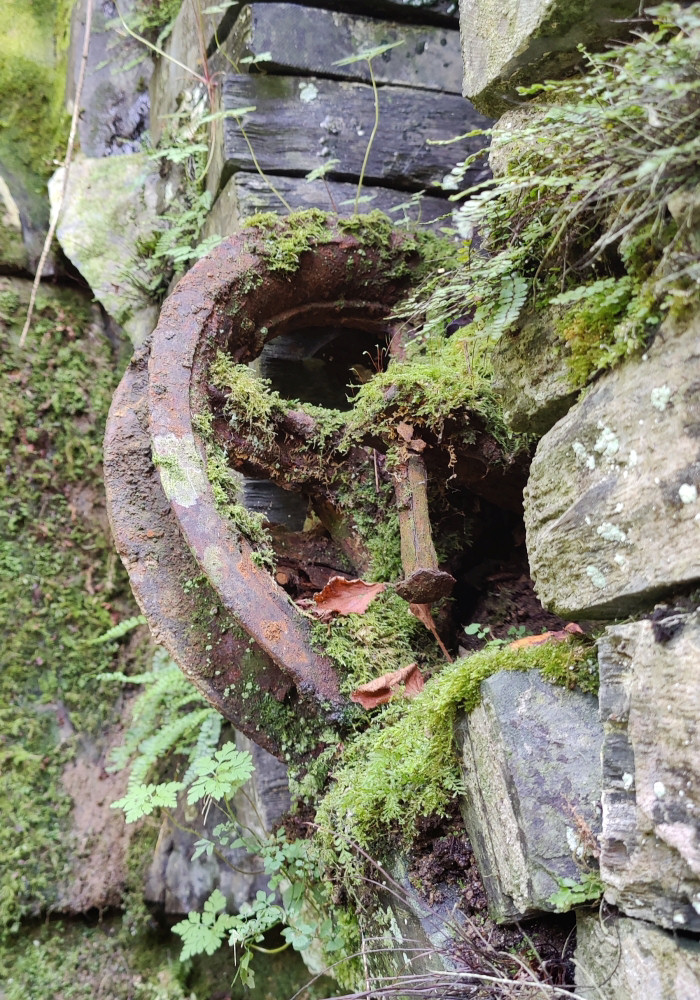Sheave (part of pumping arrangement), submitted by ilt on 27-01-2025.
© Iain Taylor Sheave (part of pumping arrangement)