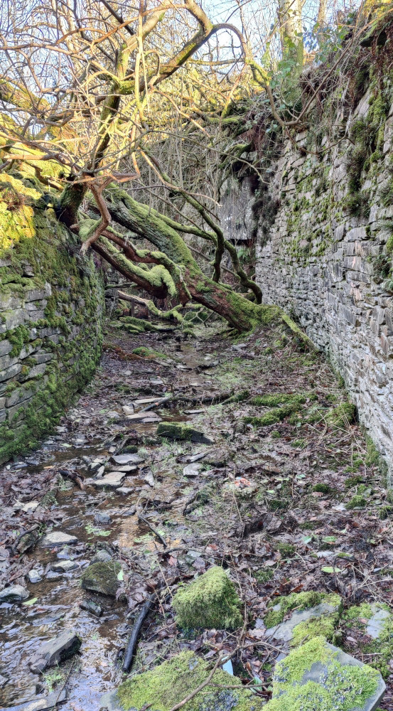 Exit from incline, submitted by ilt on 27-01-2025.
© Iain Taylor Exit from incline