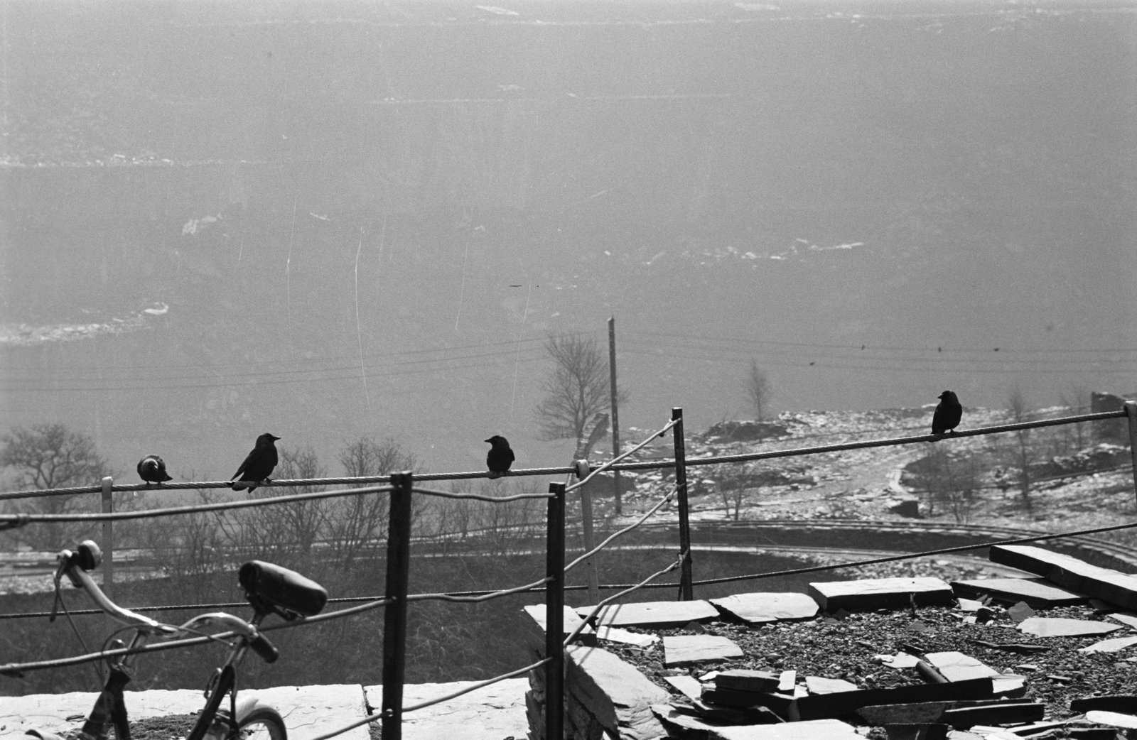 Goronwy Roberts, Minister of State for Wales, Penrhyn Quarry visit - 9 Apr 1965, submitted by Buddle-Bot on 01-04-2025.
© Geoff Charles https://creativecommons.org/licenses/by-sa/4.0/ http://www.llyfrgell.cymru Goronwy Roberts, Minister of State for Wales, Penrhyn Quarry visit - 9 Apr 1965