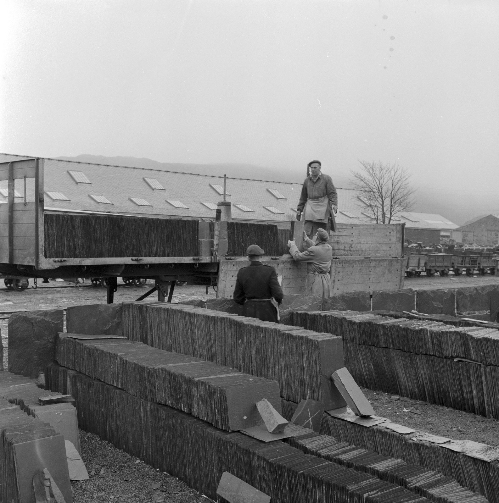 Penrhyn Quarry - Feb 15, 1962, submitted by Buddle-Bot on 01-04-2025.
© Geoff Charles https://creativecommons.org/licenses/by-sa/4.0/ http://www.llyfrgell.cymru Penrhyn Quarry - Feb 15, 1962