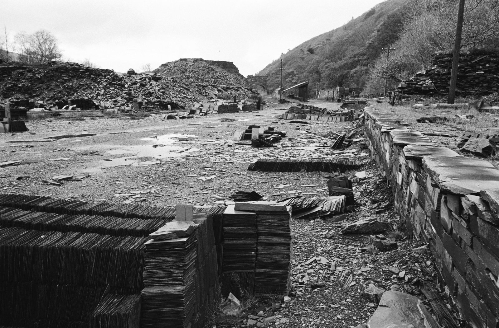 Dinorwig slate quarry closure sale - 17 Dec, 1969, submitted by Buddle-Bot on 01-04-2025.
© Geoff Charles https://creativecommons.org/licenses/by-sa/4.0/ http://www.llyfrgell.cymru Dinorwig slate quarry closure sale - 17 Dec, 1969