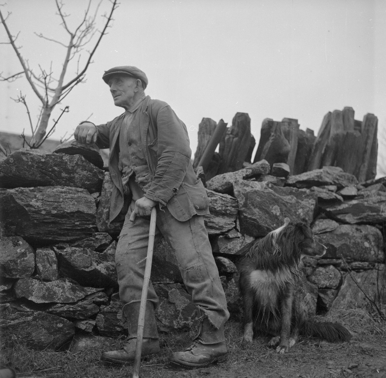 Ynys y Pandy Mill - Feb 22, 1962, submitted by Buddle-Bot on 01-04-2025.
© Geoff Charles https://creativecommons.org/licenses/by-sa/4.0/ http://www.llyfrgell.cymru Ynys y Pandy Mill - Feb 22, 1962