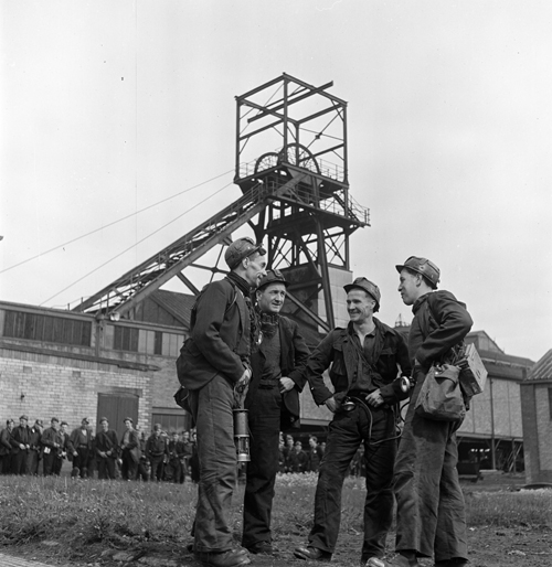 Image of Unicorn Head Headgear, submitted by Buddle-Bot on 01-03-2025.
with permission © Harold White https://www.ncm.org.uk/collections/topics/harold-white/ Image of Unicorn Head Headgear