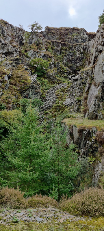 Inwards, submitted by ilt on 27-01-2025.
© Iain Taylor Inwards