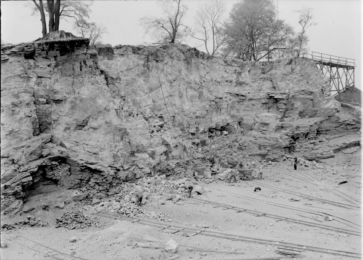 1945 - Hessilhead Quarry (Lugton Lime Works) 3.2 km. east of Beith. Ayrshire. Near view of the quarry face.