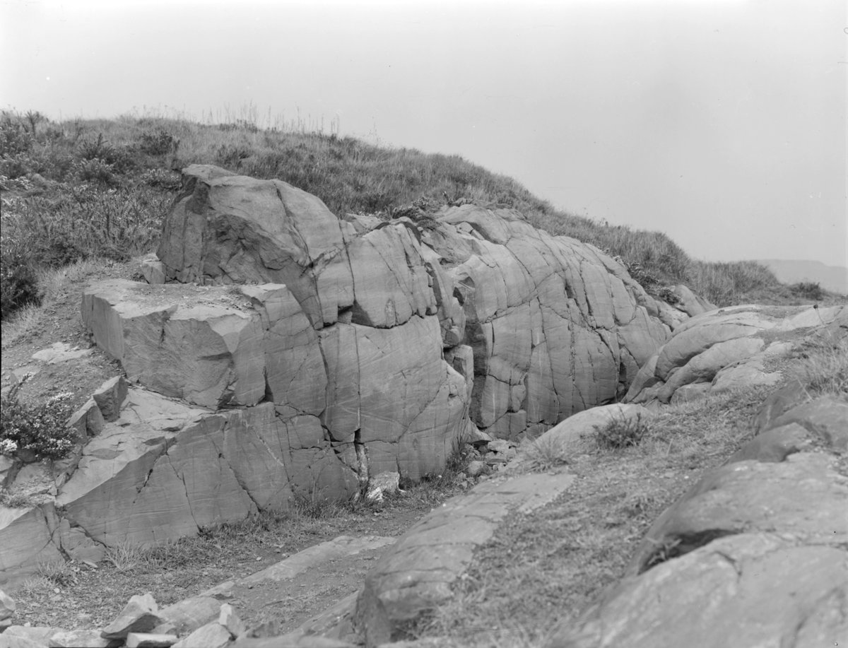 1956 - Old quarry, about 550 m. at 260 degrees (west-south-west) from Greendykes, Uphall, Midlothian., submitted by Buddle-Bot on 08-11-2025.
Bgs No. P002590; Fisher, W.D.; © Crown. Image & Text: BGS Geoscenic, under OGL V2 License http://bit.ly/462AXmV 1956 - Old quarry, about 550 m. at 260 degrees (west-south-west) from Greendykes, Uphall, Midlothian.