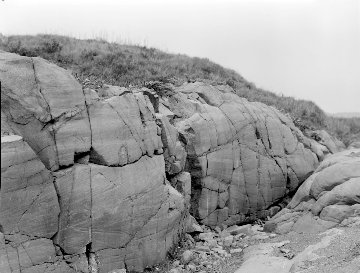 1956 - Old quarry, 550 m. at 260 degrees (west-south-west) from Greendykes, Uphall, Midlothian., submitted by Buddle-Bot on 08-11-2025.
Bgs No. P002591; Fisher, W.D.; © Crown. Image & Text: BGS Geoscenic, under OGL V2 License http://bit.ly/462AXmV 1956 - Old quarry, 550 m. at 260 degrees (west-south-west) from Greendykes, Uphall, Midlothian.