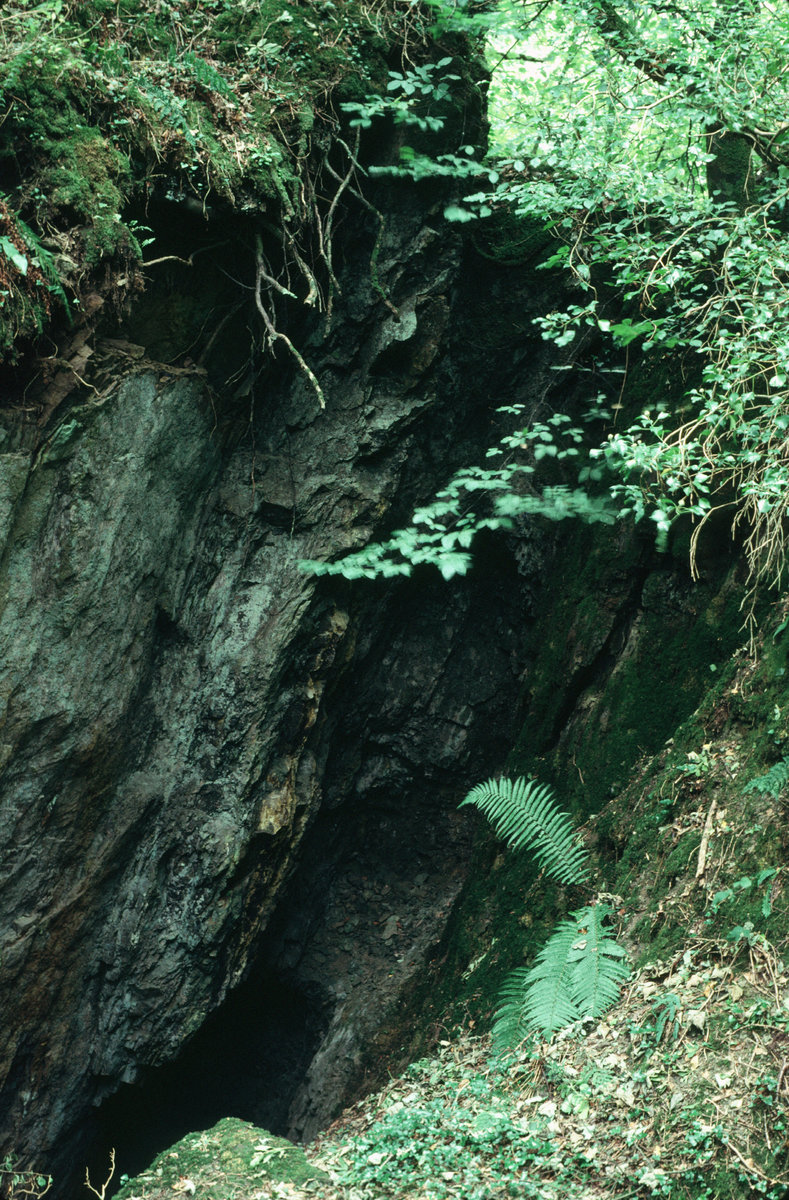 1983 - Magdalen Mine, Ponsanooth.