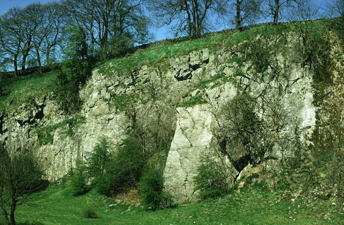 May 1973 - Old quarry by roadside at Abbots Grove SE of Earl Sterndale. Looking W.