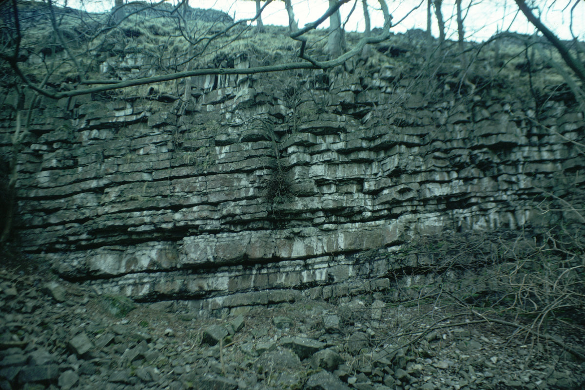 Mar 1973 - Ashford Quarry. Looking SE.