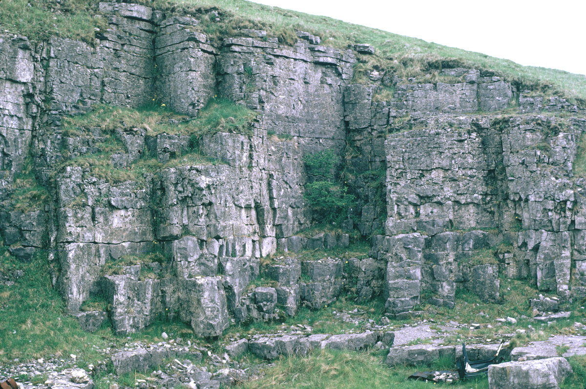 May 1973 - By the Monyash-Flagg road about 1 km. N. of Monyash below 'Brick Quarry'. Looking ENE.