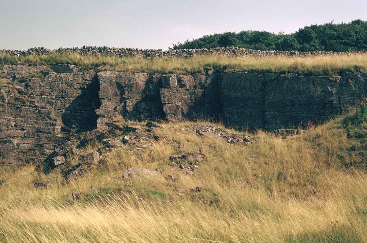 Jul 1973 - Old quarry immediately E. of Flagg-Monyash road 1.2 km. N. of Monyash. Looking E.
