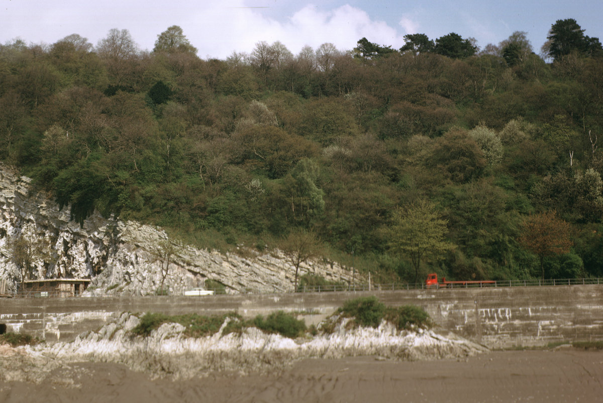 1965 - View of Gully Oolite and Clifton Down Mudstone on right bank of Avon Gorge, Bristol. Looking E.