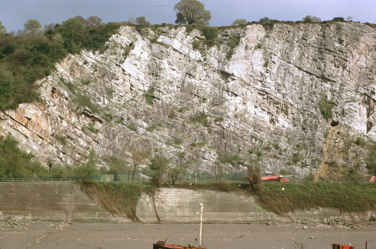 1965 - Great or Tennis Court Quarry, Avon Gorge (right bank), Bristol. Looking E., submitted by Buddle-Bot on 08-11-2025.
Bgs No. P006718; Friend, C.A.F.; © NERC. Image & Text: BGS Geoscenic, under OGL V2 License http://bit.ly/462AXmV 1965 - Great or Tennis Court Quarry, Avon Gorge (right bank), Bristol. Looking E.