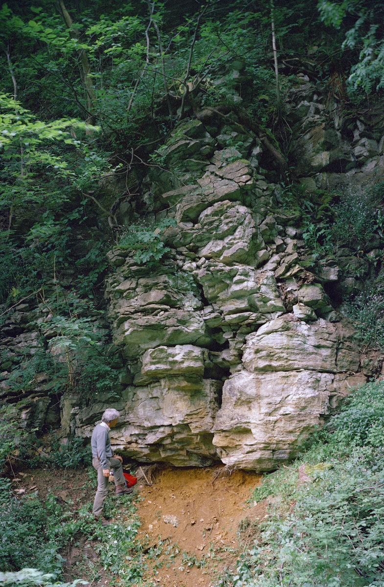 1961 - Vobster Quarry. Looking W.
