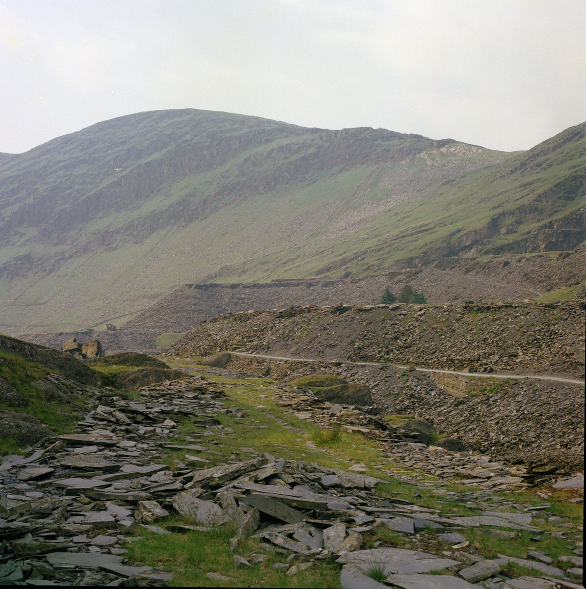 Jul 1983 - Cwmorthin Quarry Tip., submitted by Buddle-Bot on 08-11-2025.
Bgs No. P007014; Thornton, K.E.; © NERC. Image & Text: BGS Geoscenic, under OGL V2 License http://bit.ly/462AXmV Jul 1983 - Cwmorthin Quarry Tip.