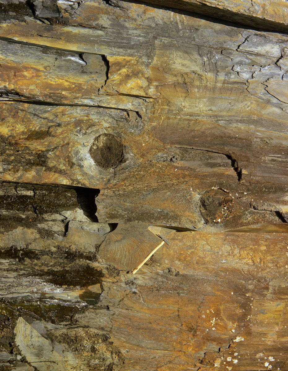 May 1975 - Old quarry, near Cornel., submitted by Buddle-Bot on 08-11-2025.
Bgs No. P007134; Thornton, K.E.; © NERC. Image & Text: BGS Geoscenic, under OGL V2 License http://bit.ly/462AXmV May 1975 - Old quarry, near Cornel.