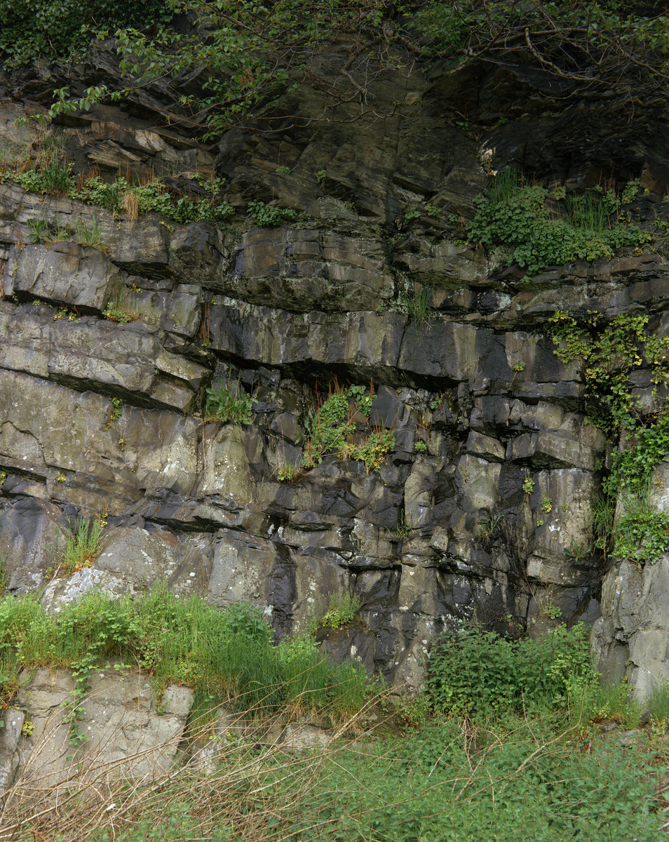 May 1975 - Tan-lan Quarry., submitted by Buddle-Bot on 08-11-2025.
Bgs No. P007154; Thornton, K.E.; © NERC. Image & Text: BGS Geoscenic, under OGL V2 License http://bit.ly/462AXmV May 1975 - Tan-lan Quarry.