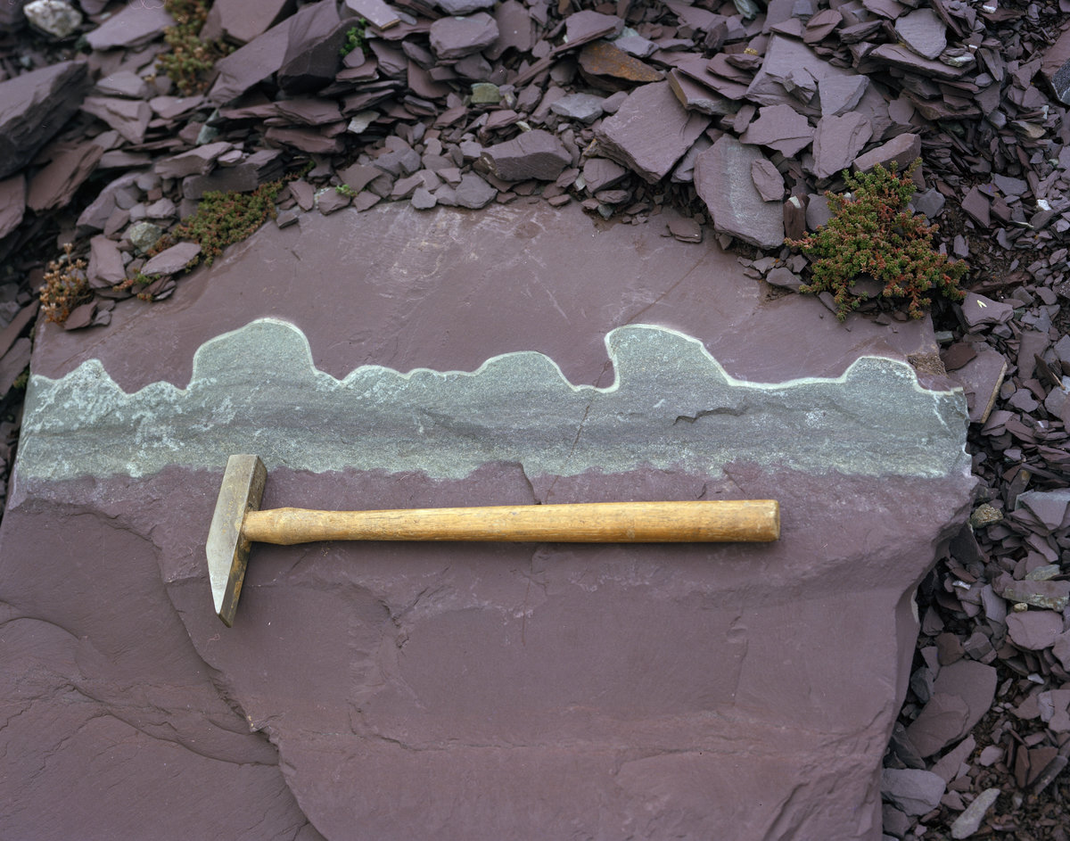 Sep 1978 - Old quarry tip near Pen-gilfach NW of Llanberis.