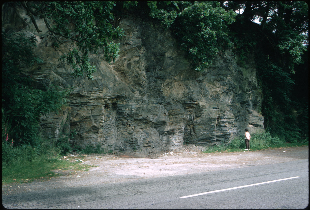 Jul 1967 - Roadside quarry NE of Ty'n-y-fford, 3.2 km. SSW of Llangerniew.