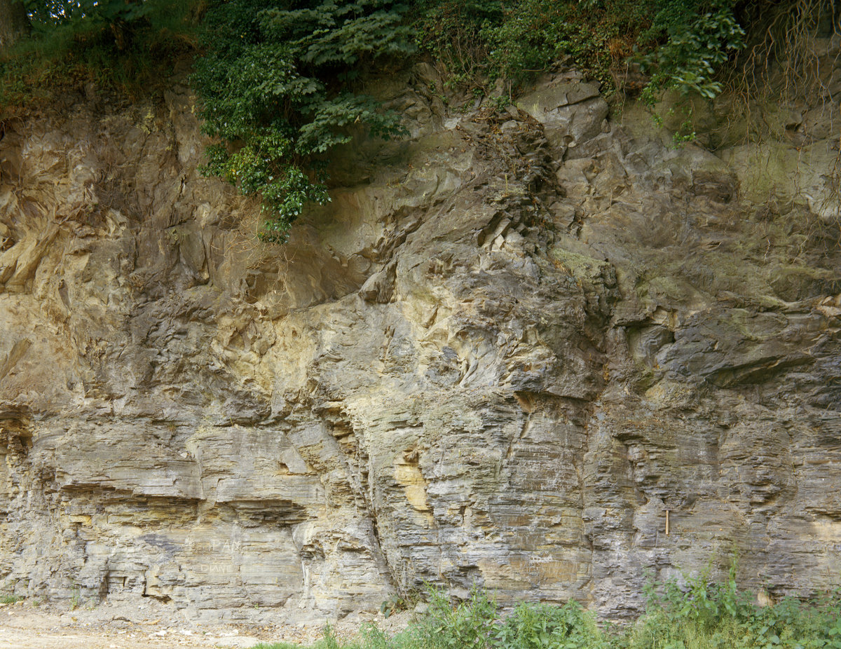 Jul 1967 - Roadside quarry NE of Ty'n-y-fford, 3.2 km. SSW of Llangerniew.