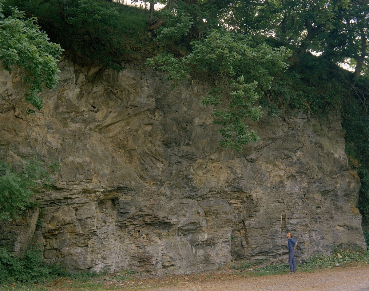 Jun 1970 - Roadside quarry NE of Ty'n-y-fford, 3.2 km. SSW of Llangerniew, Denbigh.