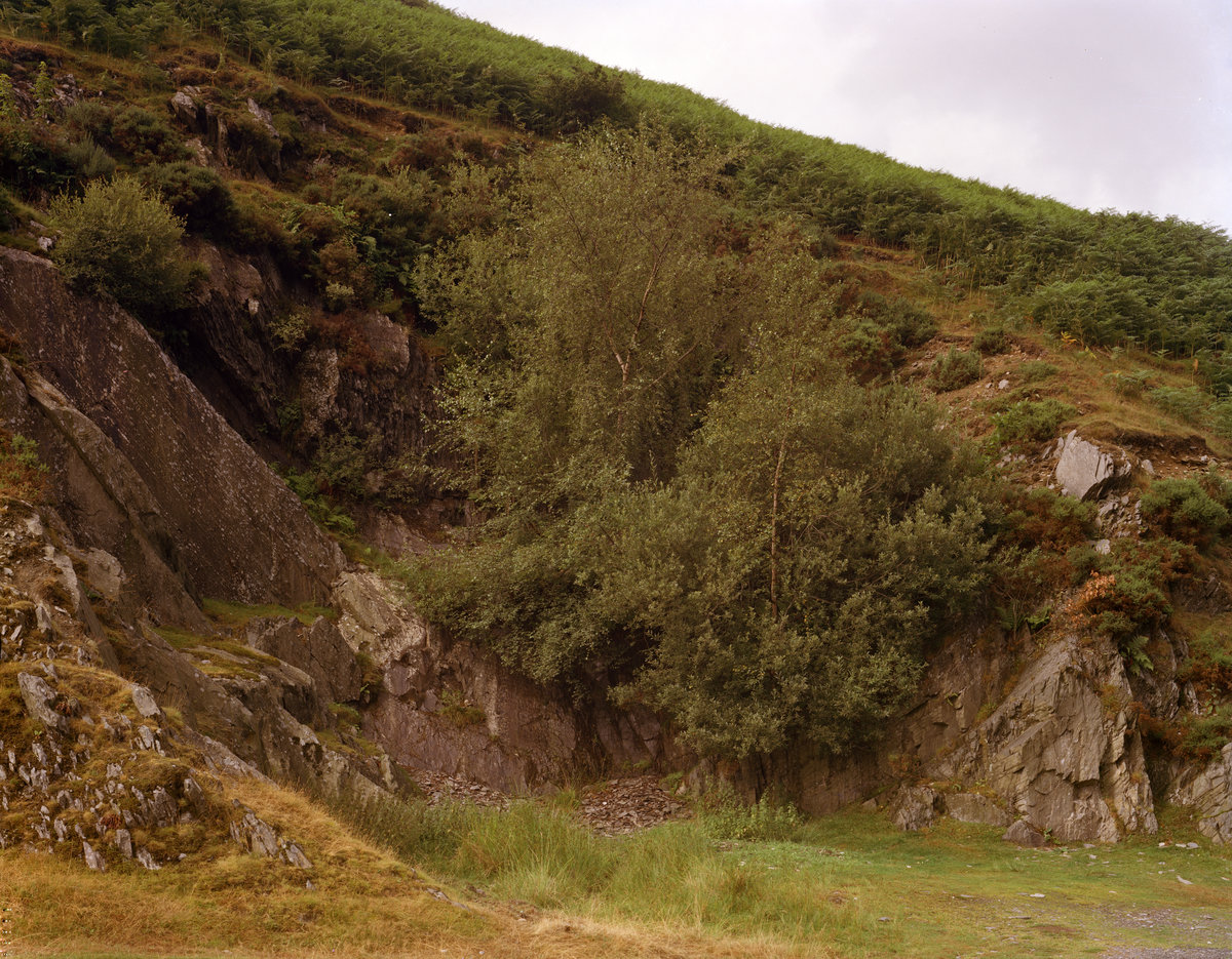 1976 - Roadside quarry about 0.9 km. ESE of Talybont., submitted by Buddle-Bot on 08-11-2025.
Bgs No. P008141; Jeffery, C.J.; © NERC. Image & Text: BGS Geoscenic, under OGL V2 License http://bit.ly/462AXmV 1976 - Roadside quarry about 0.9 km. ESE of Talybont.