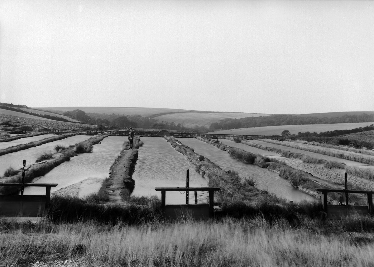 Sep 1904 - Kieve Mill, Reskudinnick, Camborne. Looking NW.