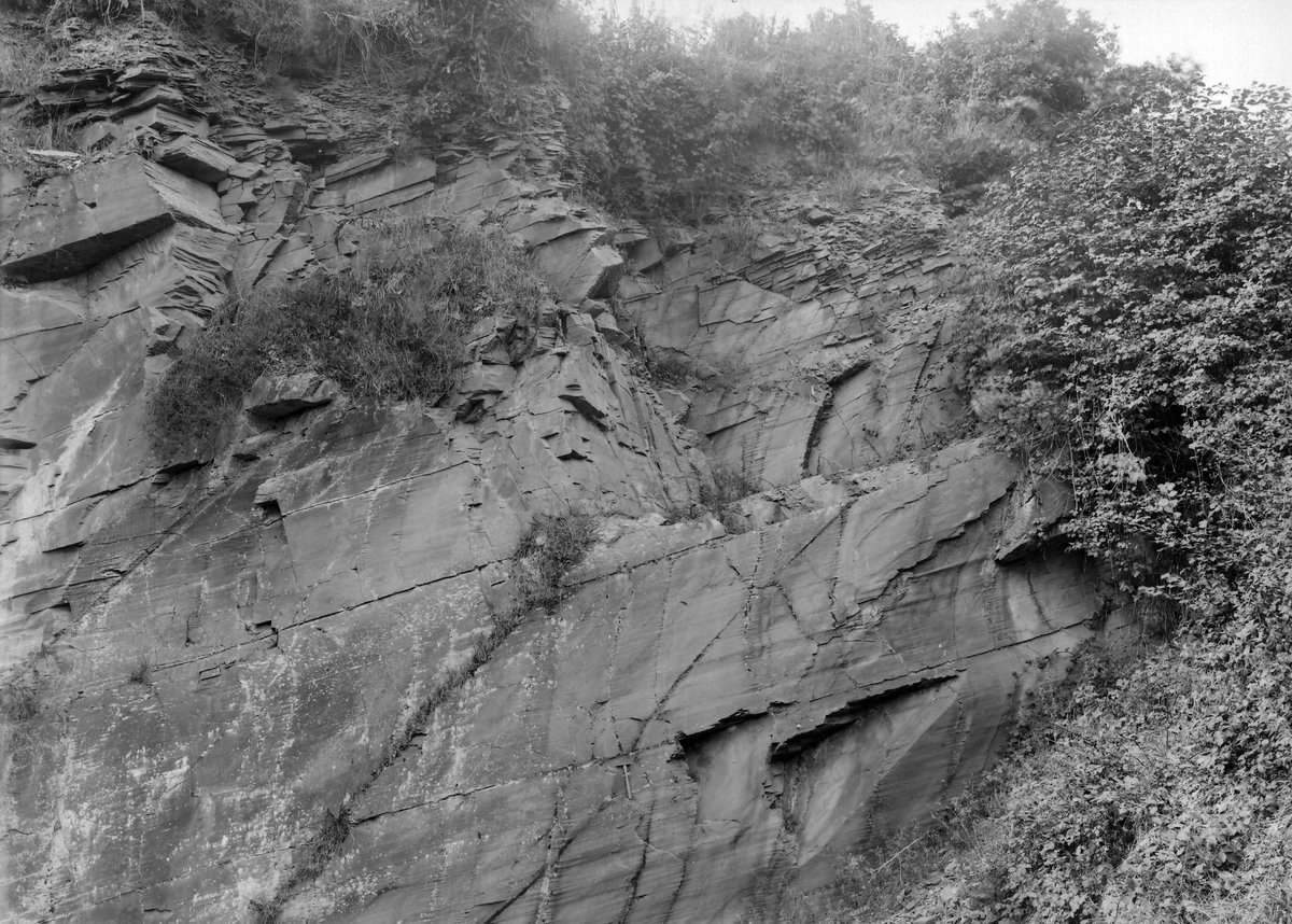 May 1905 - Quarry by roadside 1/4 m. W. of Lamellion, Liskeard. Looking W.