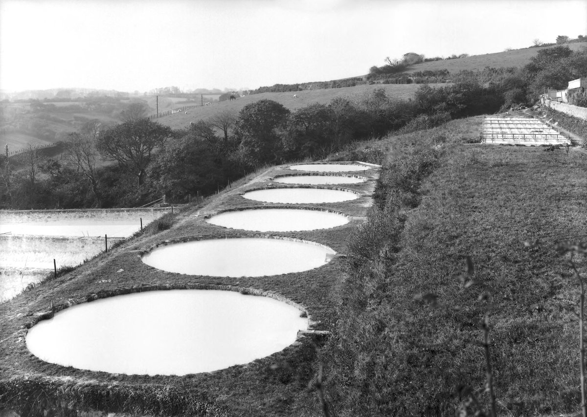 May 1905 - Trenance, St. Austell. Looking W.