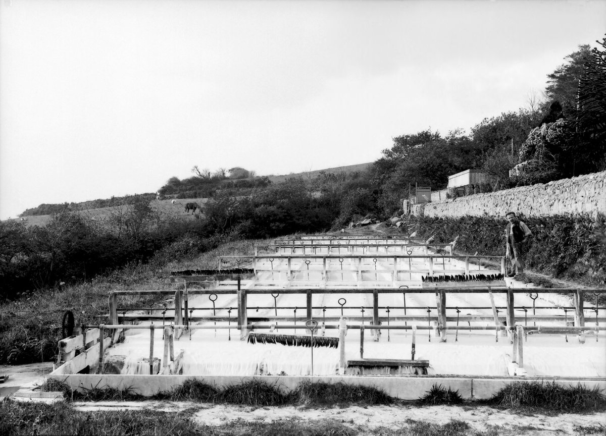 May 1905 - Trenance, St. Austell. Looking W.