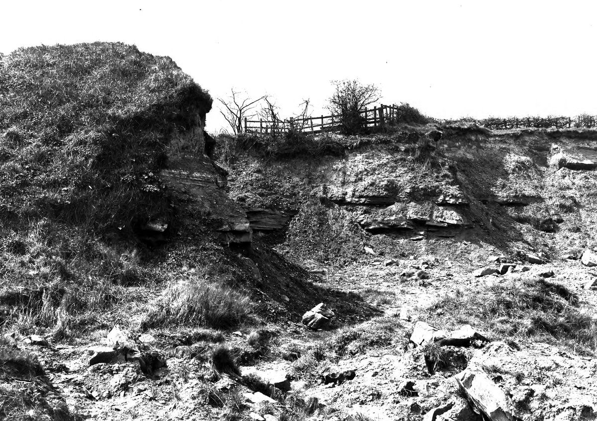 1911 - Tomlinson's Brick Works, Mansfield. Looking E.