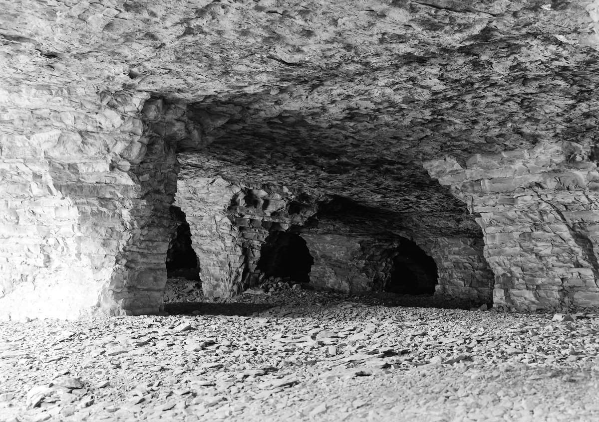Jul 1914 - Old quarry near The Grange, Holywell. Looking E., submitted by Buddle-Bot on 08-11-2025.
Bgs No. P201644; Rhodes, J.; © Crown. Image & Text: BGS Geoscenic, under OGL V2 License http://bit.ly/462AXmV Jul 1914 - Old quarry near The Grange, Holywell. Looking E.