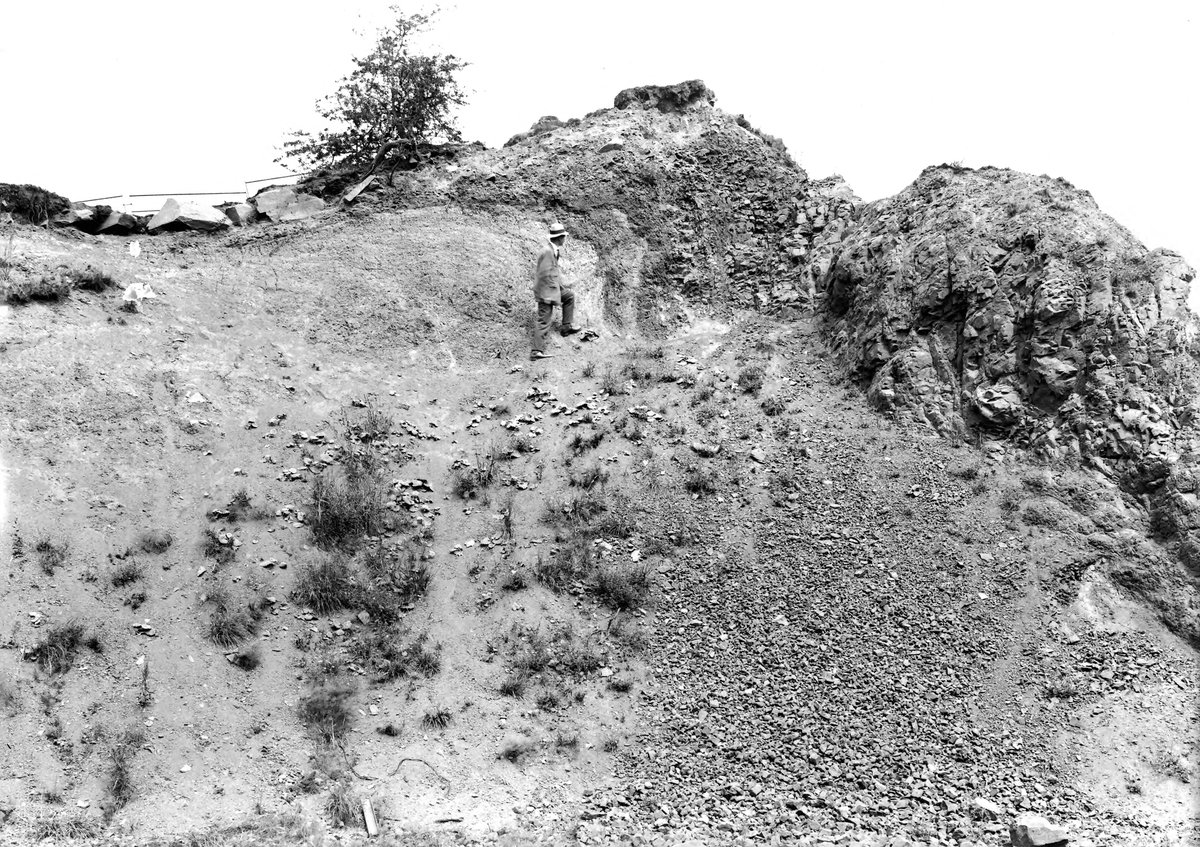 Jul 1921 - Hailstone Quarry, Cock Green, Rowley Regis. Looking N., submitted by Buddle-Bot on 08-11-2025.
Bgs No. P201888; Rhodes, J.; © Crown. Image & Text: BGS Geoscenic, under OGL V2 License http://bit.ly/462AXmV Jul 1921 - Hailstone Quarry, Cock Green, Rowley Regis. Looking N.