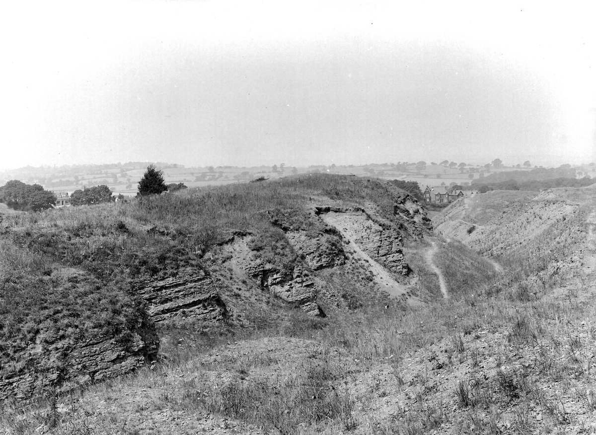 Jul 1921 - Beacon Hill Quarry, (disused), about 1/2 m. N. of Sedgely, about 21/2 m. N. of Dudley. Looking NW.