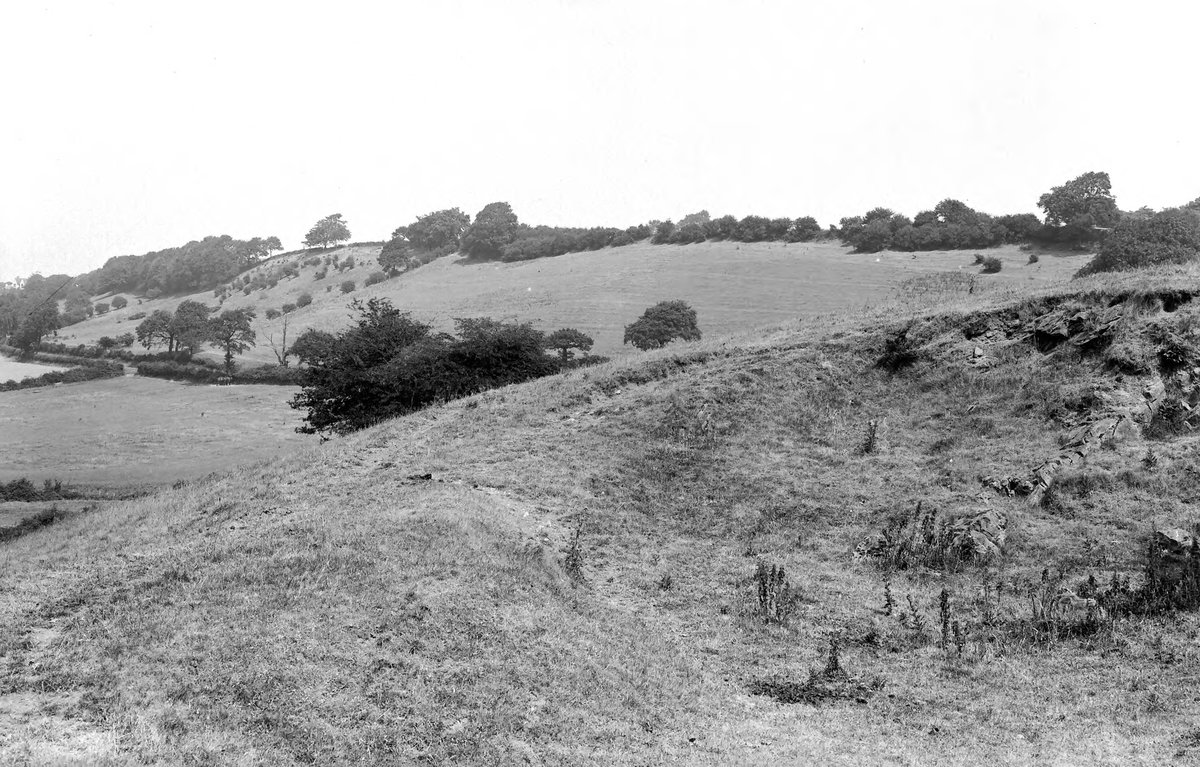 Jul 1921 - Escarpment, E. of Sedgely Hall, Sedgely, about 2 1/2 m. N. of Dudley. Looking NE.