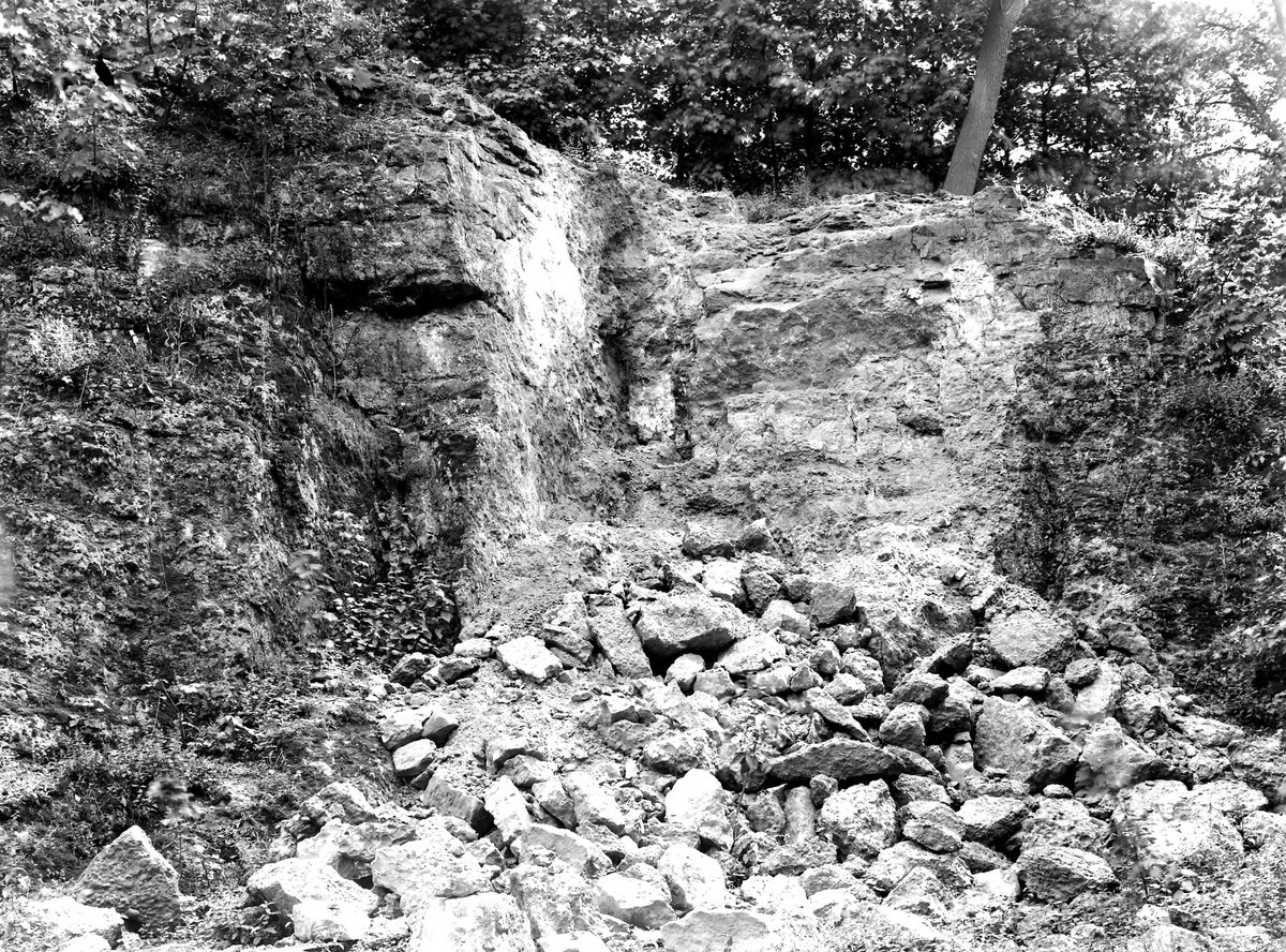 Jul 1921 - Old quarry, W. side of Baggeridge Wood, about 1 1/2 m. W. of Sedgely. Looking S.